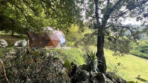 Medio Cudeyo House | DomoCantabria, Cúpula experiencias