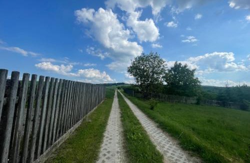 Zwierzyniec Apartment | Domy na Roztoczu Aleja Lipowa - dom H