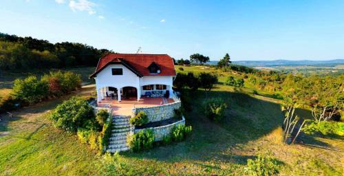 Vaszoly Villa | Dorono House