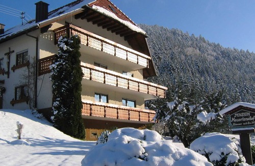 Elzach Apartment | Double room 4 with toilet and shower, 1 - 3 persons - Mosertonihof