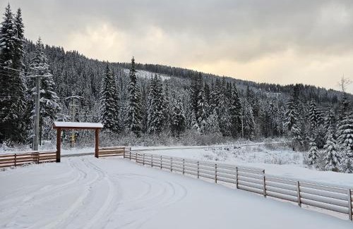 Voineasa Apartment | Double room with Balcony Transalpina Ski Resort - DBL2
