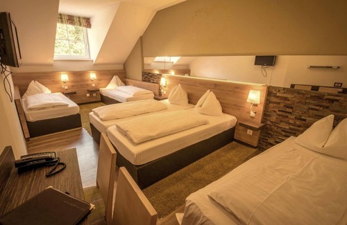 Muehlau Hotel | Double room with shower, WC - Hotel Dollinger