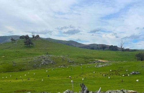 Wyangle House | Double Up at Little Kurrajong Escape by Tiny Away