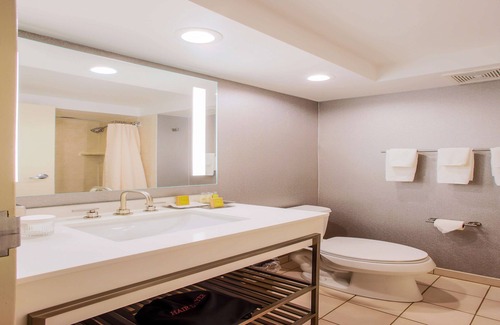 Alsip Hotel | DoubleTree by Hilton Chicago - Alsip