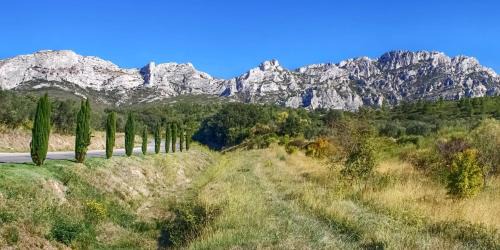 Paradou House | Douce Provence Paradou Les Alpilles