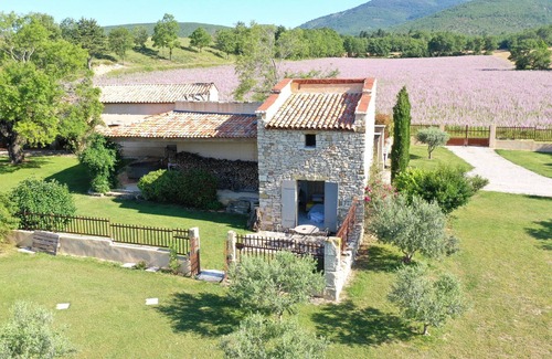 Lardiers House | Dovecote in stones in the middle of the lavenders