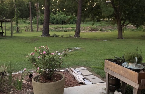 Ventress House | Down on the Bayou