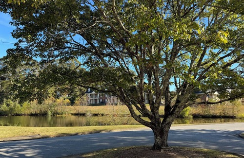 Auburn Condo | Down to the Wire, Cozy 2-bedroom condo with WiFi and AC in welcoming Auburn