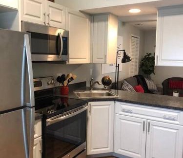 Downtown Dunedin Apartment | Downtown Dunedin! 2 bedroom 2 bath NO KIDS, NO PETS