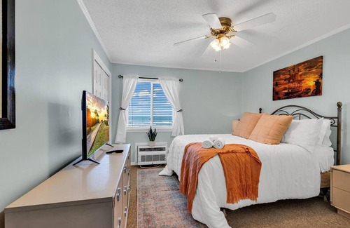 Houston Apartment | Downtown! Generous
