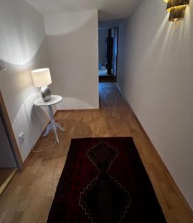 Bad Soden-Salmuenster Apartment | Downtown No 3