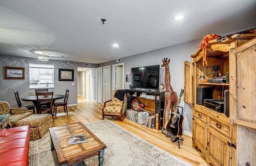 Winston - Salem Apartment | Downtown Winston-Salem! The Frequent Flyer!