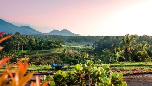 Wongaya Gede Villa | Dragonfly Cottage - 2Br Villa Jatiluwih
