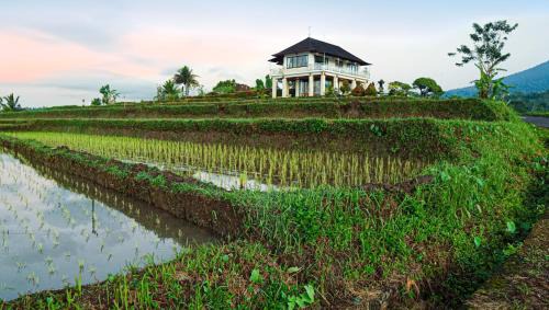 Wongaya Gede Villa | Dragonfly Cottage - 2Br Villa Jatiluwih