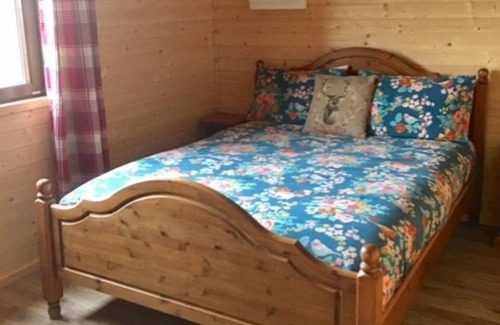 Boston Apartment | Dragonfly lodge -2BR log cabin with Lake view