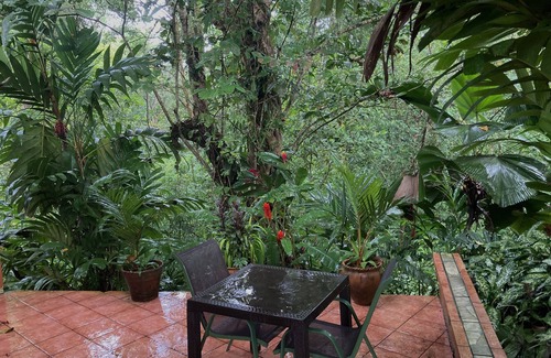 Drake Bay Cottage | Drake Bay Town w A/C, Gateway to Corcovado National Park, Osa Peninsula