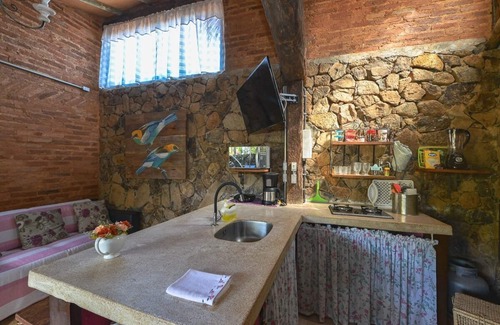 Pequea Apartment | Dream . Home office in Ilhabela with my dog.