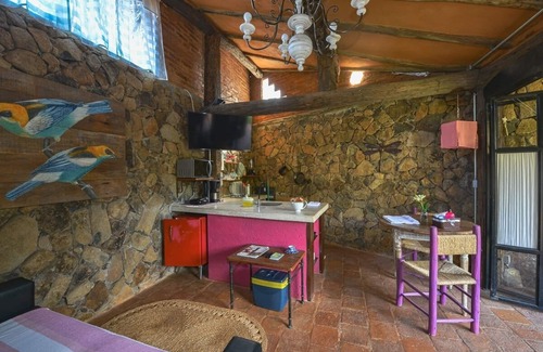 Pequea Apartment | Dream . Home office in Ilhabela with my dog.