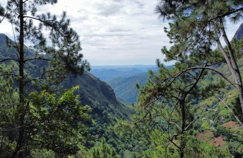 Ambagollapathana Bed & Breakfast | Dream view