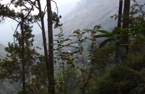 Ambagollapathana Bed & Breakfast | Dream view