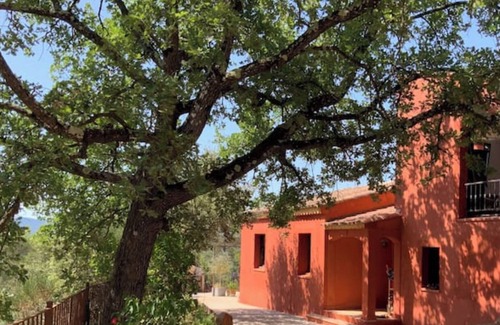 Barjols Villa | Dreaming in Provence among the olive trees, with a view of the Sainte Beaume mountain range