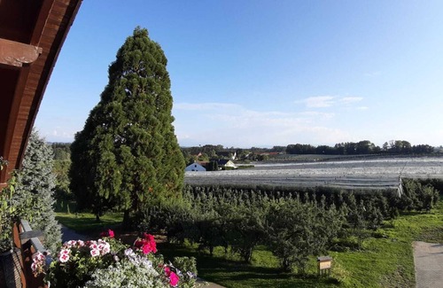 Waggershausen Apartment | Dreamlike estate on Lake Constance - a sustainable vacation dream with a view of the Alps