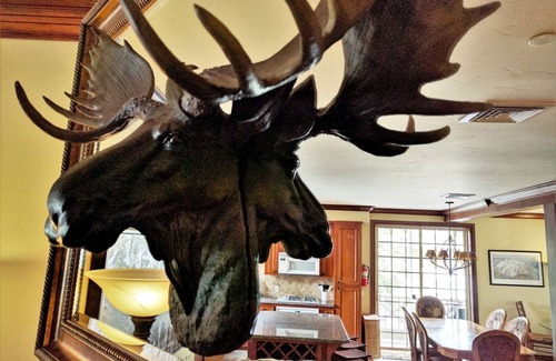 Mammoth Lakes Condo | Dreamy Home at Canyon Ldg -Mammoth Moose - Hot tub/Sauna/Garage