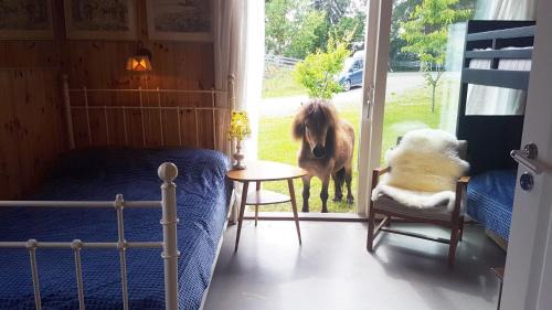 Hamar Apartment | Drengestua på Flagstad Østre