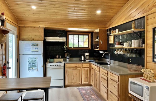 Lake City Cabin | Driftwood - Ox Yoke #8 - Newly Updated Cabin That Sits Along the Lake Fork of the Gunnison River