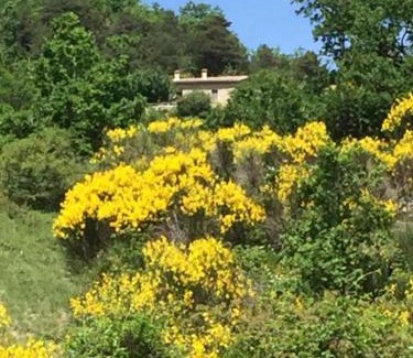 La Motte-Chalancon House | Drome Provençale, Gîte Fonfroide, Location à la semaine
