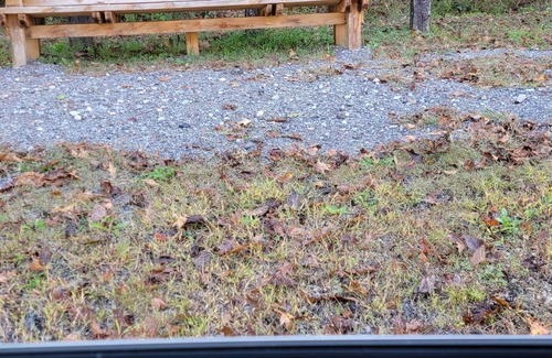 Duck House | Duck Trails On The Elk