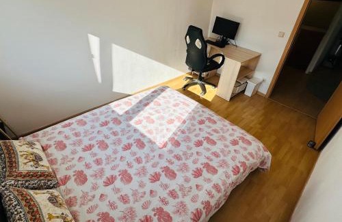 Dudelange Apartment | Dudelange Centre Loft - 2 Rooms at Top Floor