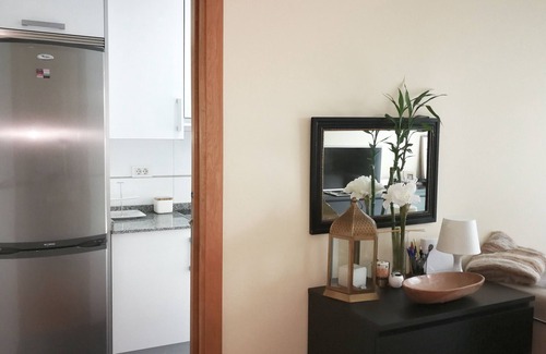 La Coruna Apartment | DUPLEX. CORUÑA CENTER. 10' BEACH. WIFI AND LANDSCAPED COURTYARD.