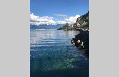 Thollon-les-Memises Apartment | Duplex en station vue sur lac Leman