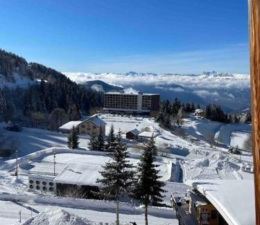 Chamrousse Apartment | Duplex « les 7 Marmottes », Les Balcons de Recoin