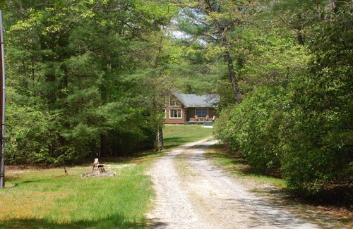 Cedar Mountain Cabin | Dupont, Waterfall, Wifi, Fenced Yard, Pets Ok, 40 acres