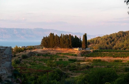 Pitve Villa | Dvor Pitve Villa B - feel the magic of luxury and tradition