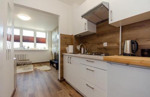 Sosnowiec Apartment | Dwa Koty