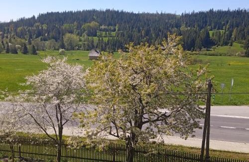 Zubrzyca Gorna Apartment | Dwa Widoki Apartamenty