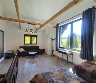 Lutowiska Apartment | Dwerniczek 7 apartamenty