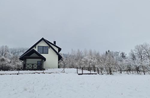 Lutowiska Apartment | Dwerniczek 7 apartamenty