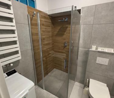 Zarow Apartment | DWORCOWA 5 LOFT Numer 1