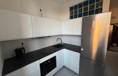 Zarow Apartment | DWORCOWA 5 LOFT Numer 1