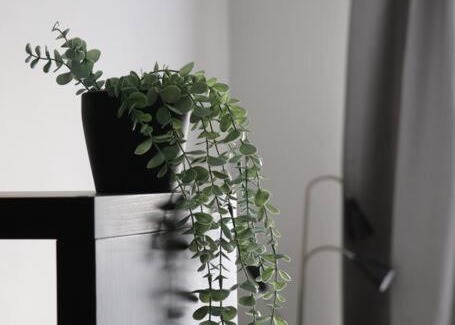 Aluksne Apartment | Dzīvoklis ar skatu pār Alūksni