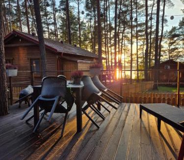 gmina Karsin Resort | Dzik w zagrodzie