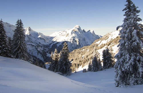 Schroecken Apartment | E3/20 B Premium - Apartment in the AlpinResortArlberg1495 - AlpinResortArlberg1495 - B1