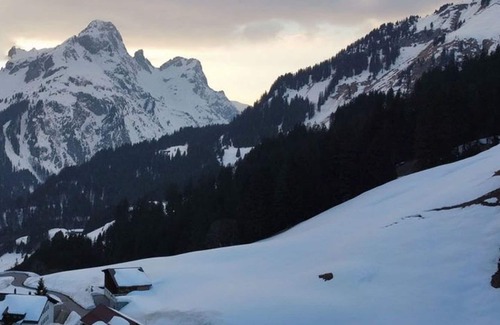 Schroecken Apartment | E3/20 B Premium - Apartment in the AlpinResortArlberg1495 - AlpinResortArlberg1495 - B1