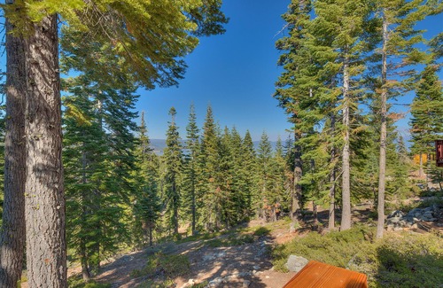 Chamberlands House | Eagle's Nest: 5 BR, 2.5 BA House in Homewood, Sleeps 13