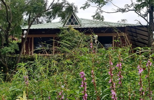 Panchgani House | Eagle's Nest - A Nature Retreat