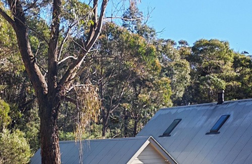 Blackheath House | Eagle’s Nest – A Luxury Escape in the Heart of the Blue Mountains